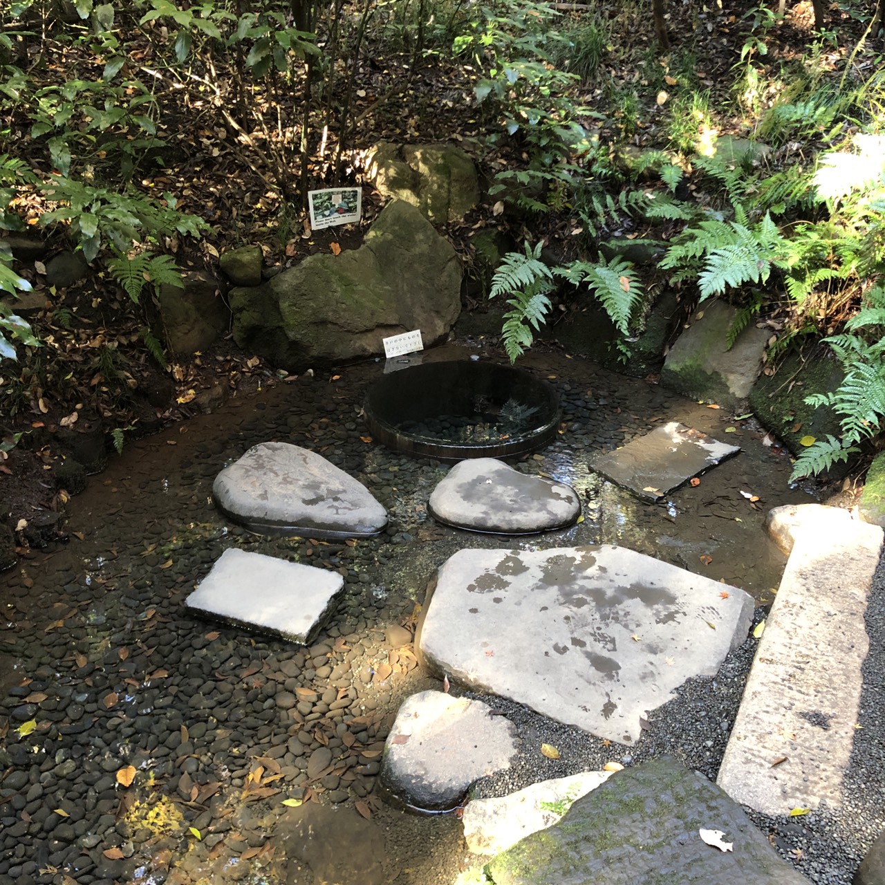 清正の井戸
