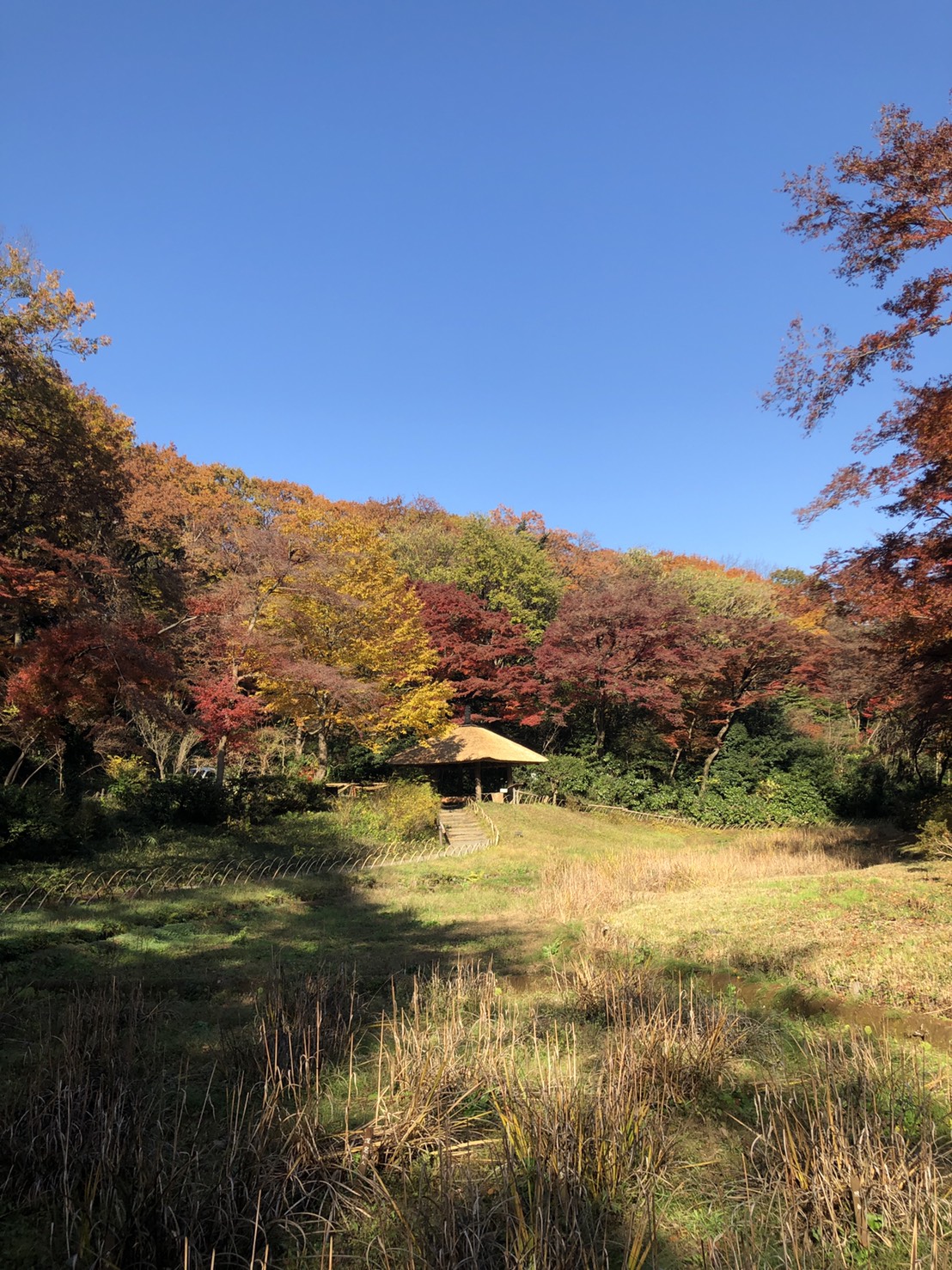 庭園