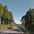 【栢野の大杉】石川県加賀市のパワースポット